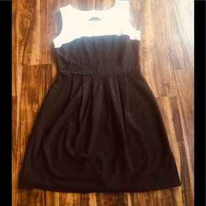 Enfocus Studios Black and White Fit Flare Dress